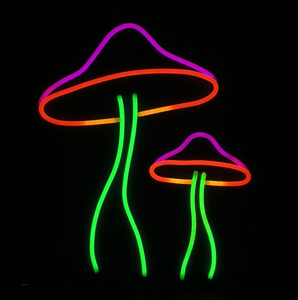Paddenstoelen